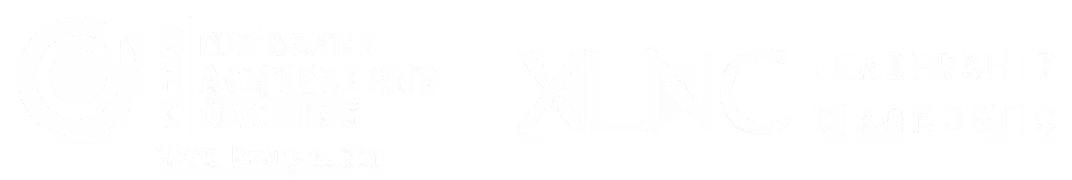Logo-Reihe mit Deutscher Coaching Verband und XLNC Leadership Diagnostic
